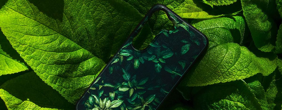 Biodegradable case in everyday use
